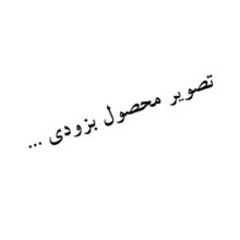 شیر حمام راسان مدل دینو شیری کروم